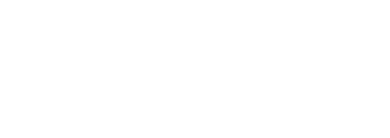 Birdsville Hotel Logo White
