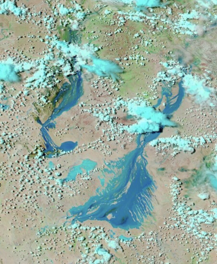 Satellite image of floodwaters in Eyre Creek and Diamantina River catchments - February 14th 2024