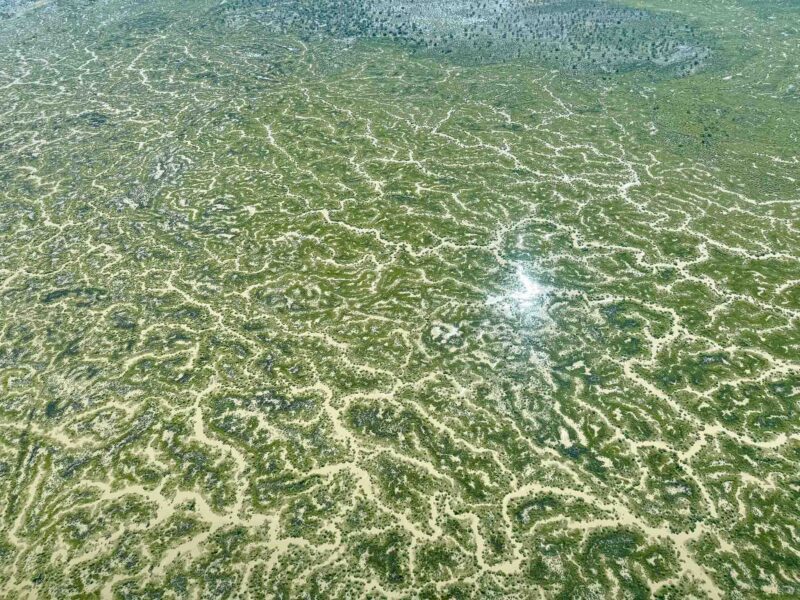 Goyder Lagoon - June 2025