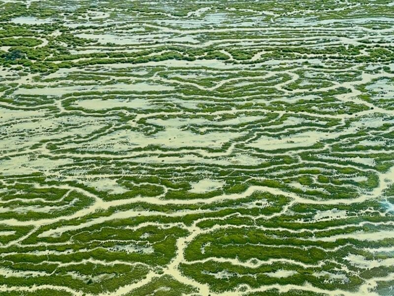 Lake Machattie - June 2025