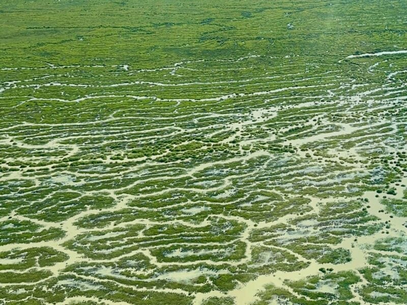 Lake Machattie - June 2025