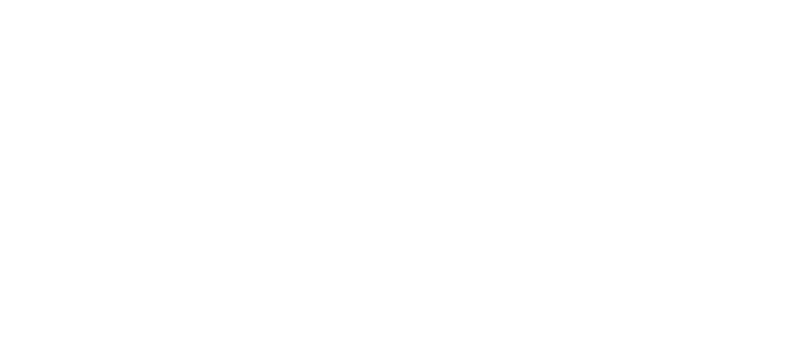 Birdsville Hotel Logo White